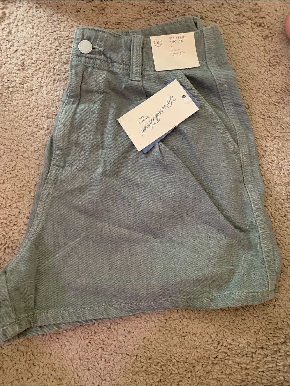 Universal Thread Women’s High Rise Pleated Shorts in Sage Green SIZE 6